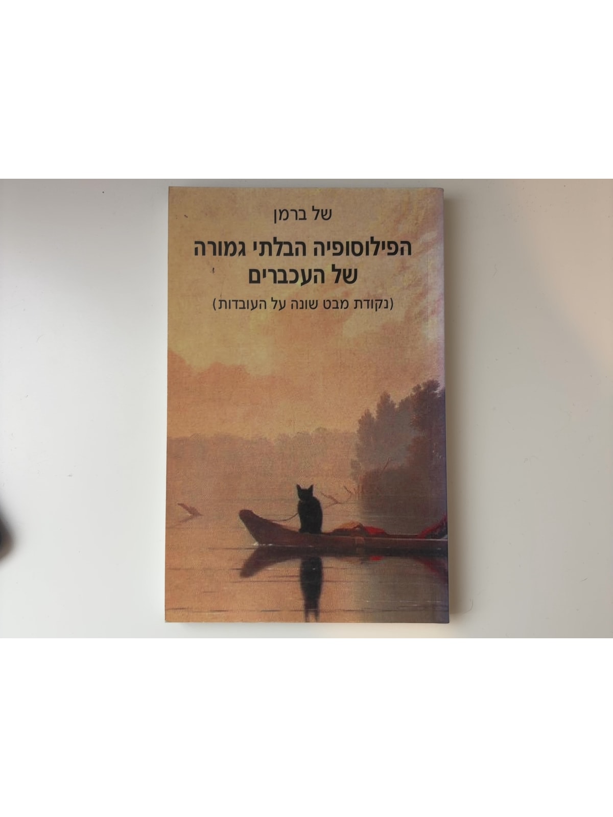 הפילוסופיה הבלתי גמורה של העכברים (נקודת מבט שונה על העובדות) — עטיפה קדמית