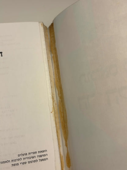 הר הקסמים — תמונה נוספת 1