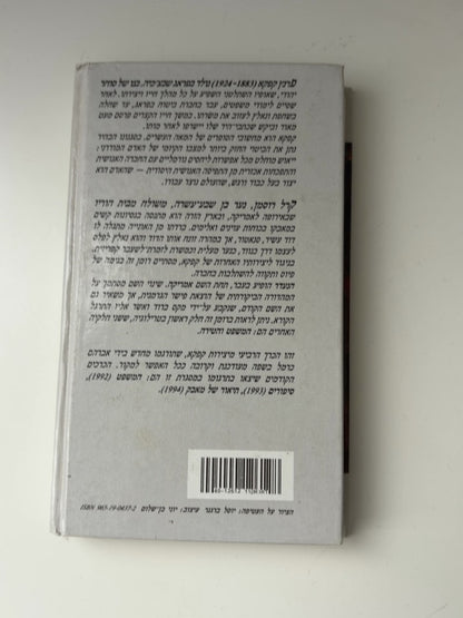הנעדר (אמריקה) — עטיפה אחורית