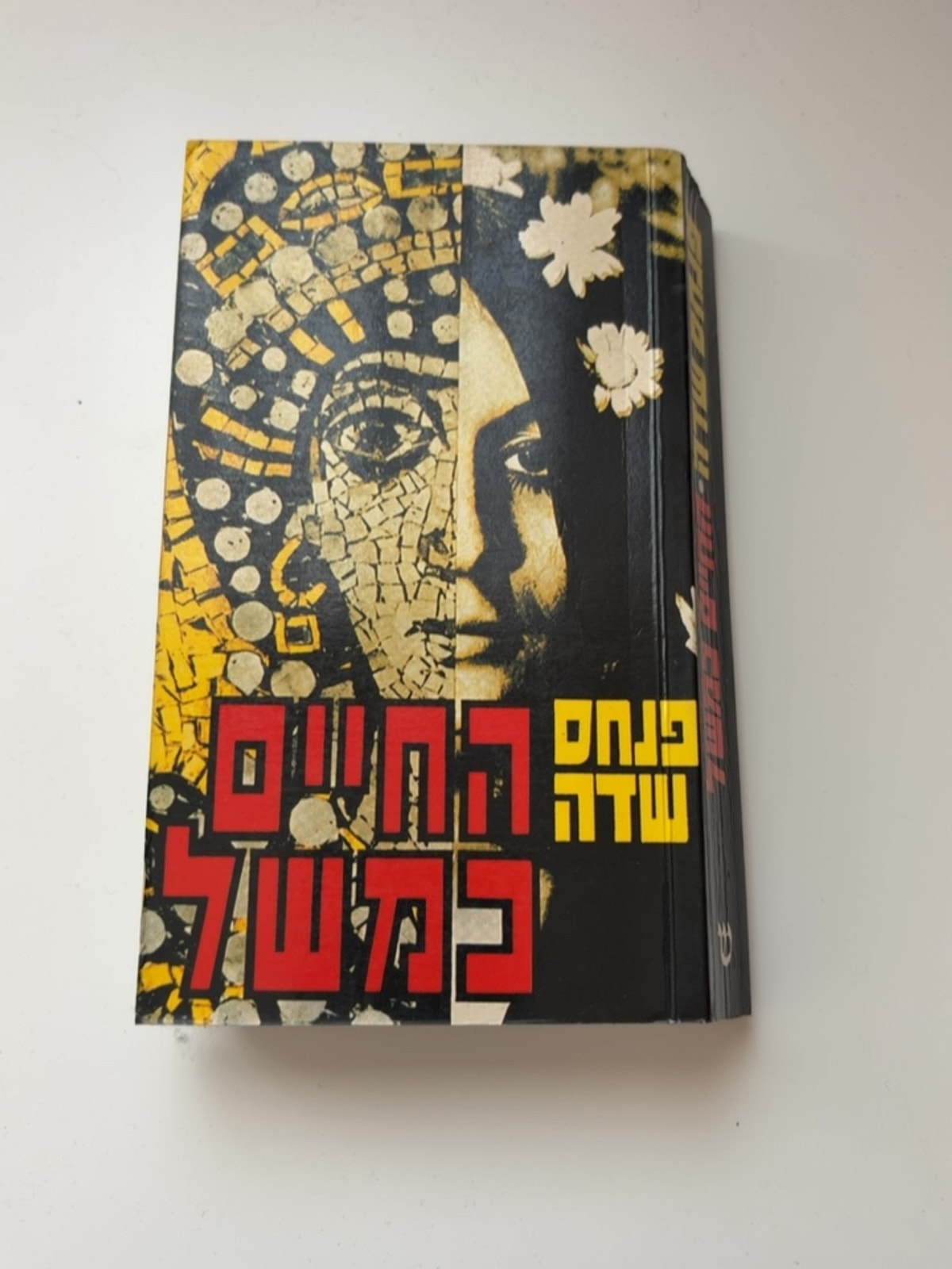 החיים כמשל — עטיפה קדמית