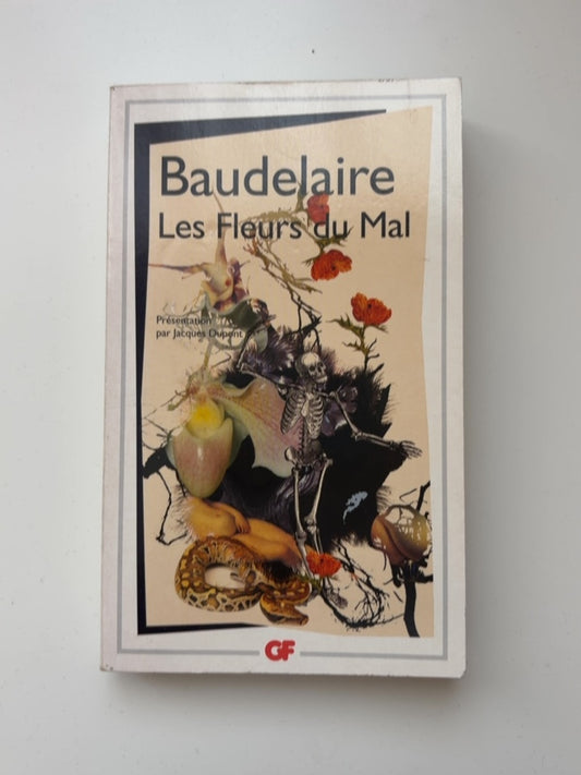 Les Fleurs du Mal — עטיפה קדמית